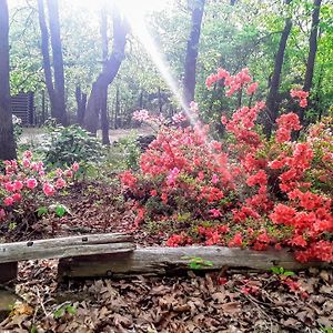 Cherokee Mountain Log Cabins